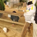 석당농장 이미지