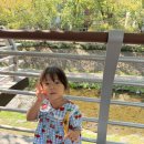 ＜9월 5주＞ 다양한 길 따라 걸어보기 &amp; 자연물 관찰하기 &amp; 비츠퍼포먼스 이미지