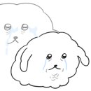 별이네상점