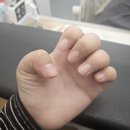 끌레르린
