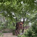 꽃뱅이정원 이미지