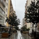 스페인 🇪🇸 _마르베야(Marbella) 에서 그라나다, 빠에야 맛집 그냥 맛집!!