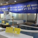 선산대로 | 구미 지산동 남경수산 횟집 솔직후기｜가성비 포장 맛집 인정🐟🐡