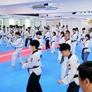 최강국가대표태권도장 이미지
