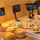 핑크애견 | 영종도 신상 카페 핑크월 내돈내산 후기 : 주차 메뉴 애견동반 총정리