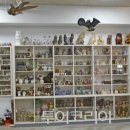 호수와 바다 이미지