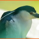 달성공원 이미지