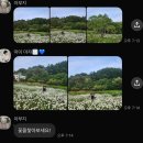대구 오시소 (2025.06.06~08 2박3일)