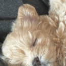 키즈멍 안양본점 이미지