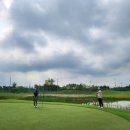 파인필드골프연습장 | 김남호프로 필드레슨 파인파크 507 파3 골프연습장