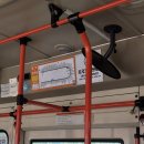 대보중학교 | 혼자서 포항여행 1박2일 코스