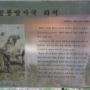 영천 영지사 대웅전 이미지