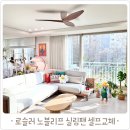 노블셀프타임 | 로슬러 노블리프 실링팬 셀프 교체! 월넛으로 거실 무드 바꾸기 성공?