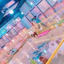 몽이네 맡겨보시개 이미지