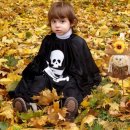 수능생을 위한 공연 이미지