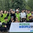 장암팜 이미지