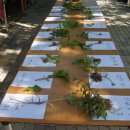 농부네텃밭도서관 이미지