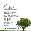 나무와나 이미지