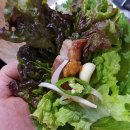 돈의보감 이미지