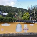 괴목민박 이미지