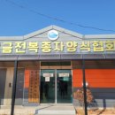 완도전복사료 이미지