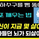 뇌과학자인 저도 깜짝 놀랐어요 / 뇌를 살리는 뜻밖에 간단한 방법 / 죽을 때까지 늙지 않는 두뇌의 비밀 / 브레인 리부트 풀버전 이미지