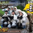 애니멀즈 이미지