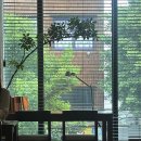 나의 가장 나종 지니인 것 | 광주 농성동 신상카페 빈도, 나만 알고싶은 힐링 분위기 감성 플레이스