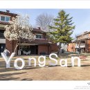 용산-서빙-221 이미지