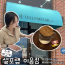 세류3 829-34 | 수원 누워서하는 다이어트 • 체형관리 맛집 셀포랩 이음점