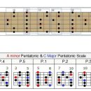 기타(중급) 이미지