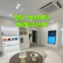 아르티지스파 이미지