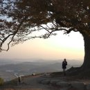 지돈가(지명영농조합법인) | [충청남도 부여군] 대조사(부여)