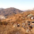 양지바른 이미지