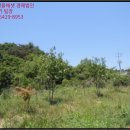 대산면920 이미지