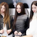 베일리