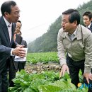 동막동(6) 이미지