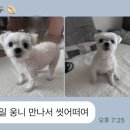 그래요