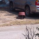 프라임펜션 이미지