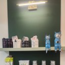 고양이이발관 송도점 이미지