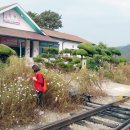 무병장수마을