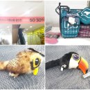 노브랜드 남양주화도2점 이미지