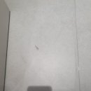 강남동물병원 이미지