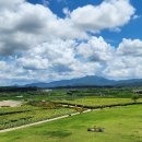 고랑포구 이미지