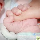 송탄소나무한의원 네이버블로그