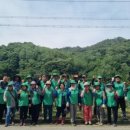 지방도913호 이미지