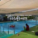 가평 아워포레스트 애견동반 캠핑장 패밀리존 내돈내산 숙박후기