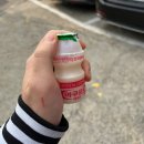 161 | 수원 파장동 해물찜 '소문난대구왕뽈찜' 에서 대구뽈찜 냠냠