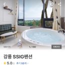 SSIG펜션