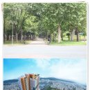 오피스텔 숲 이미지